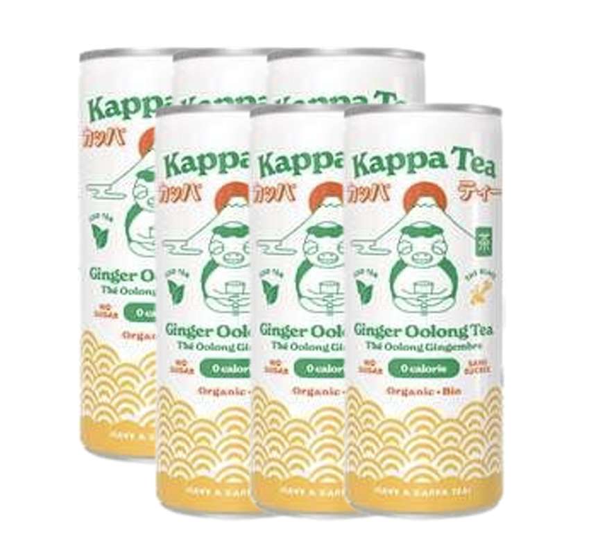 Lot de 6 x Thé Oolong gingembre BIO, KappaTea (25 cl)