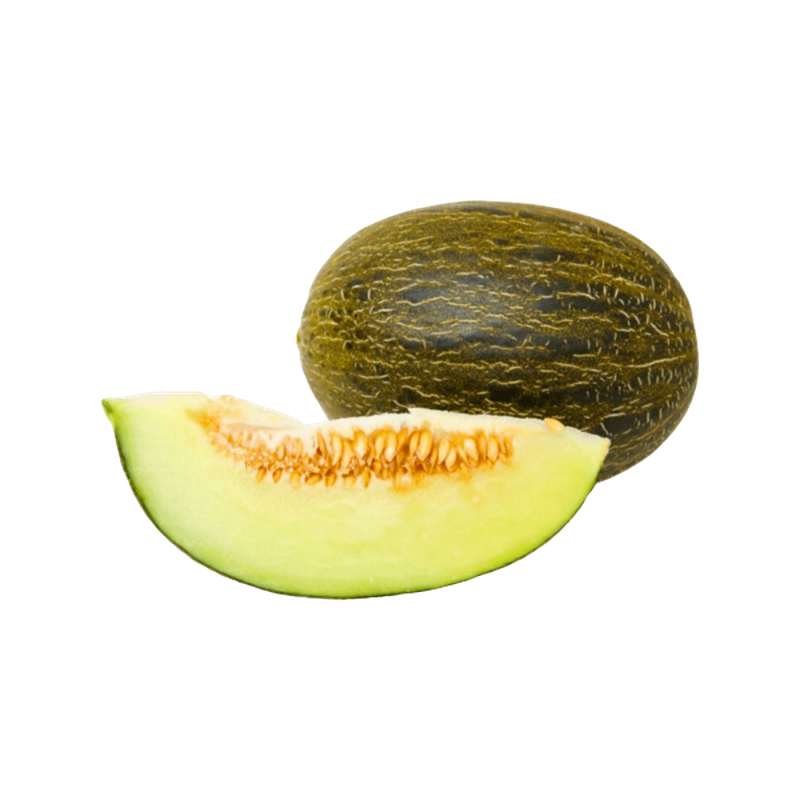 Melon Vert Piel de Sapo BIO, Espagne La belle vie Changez votre