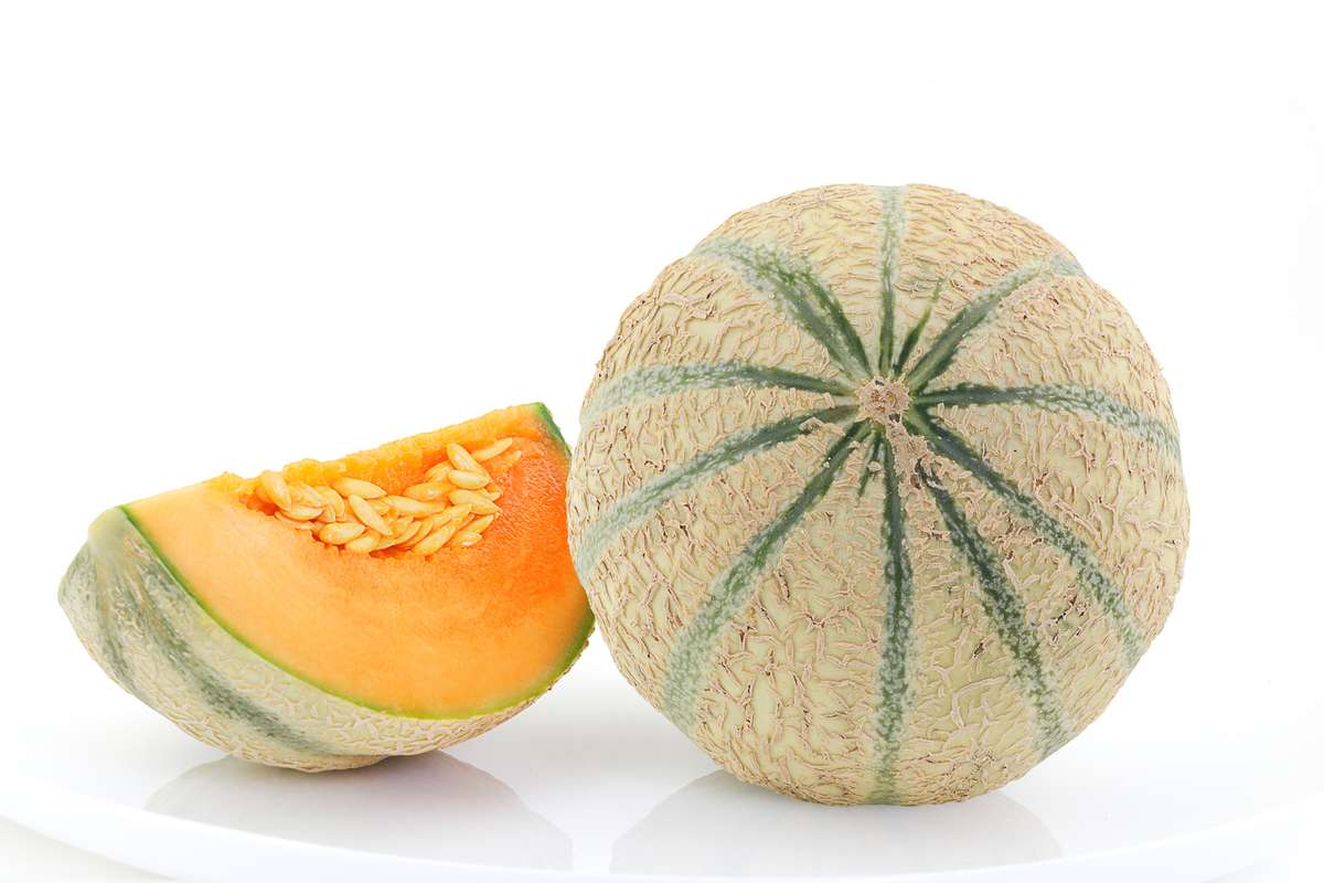 Melon (calibre moyen), France La belle vie Changez votre vision des
