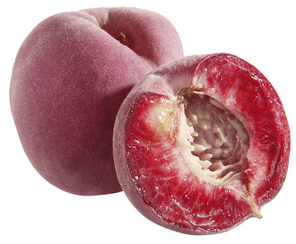 Pêche sanguine (Pêche de vigne) (calibre moyen), France Bam courses