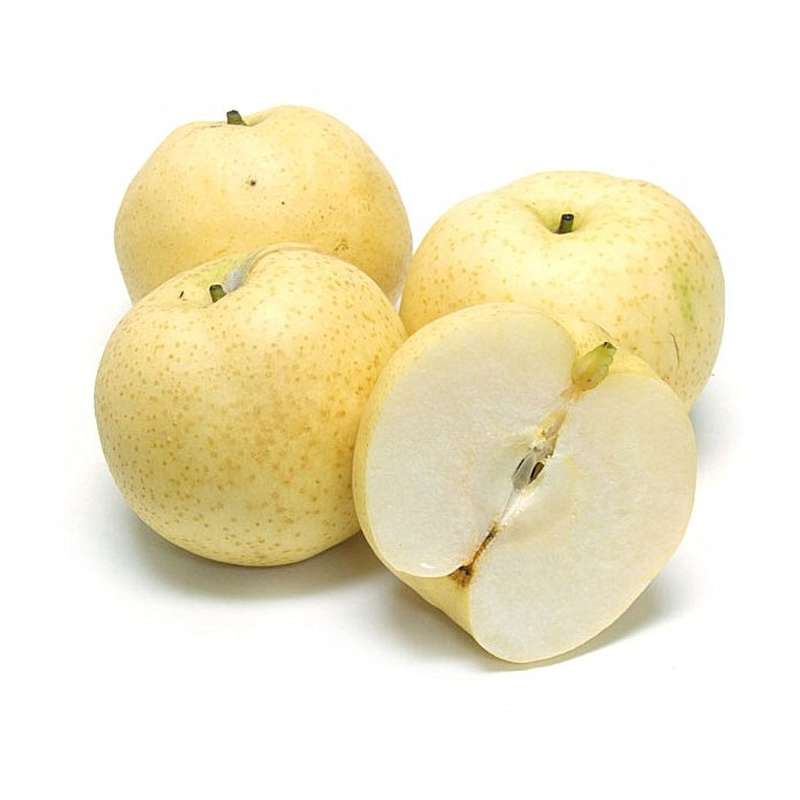 Lot de 4 poires nashi BIO du Roussillon (petit calibre), France