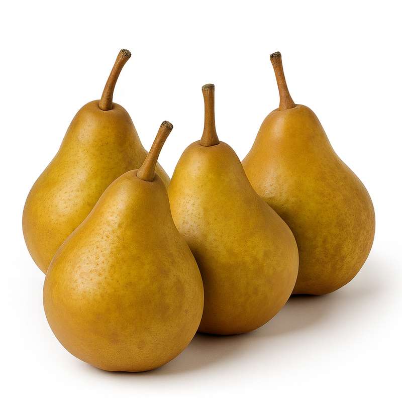 Lot de 4 Poires Président Heron BIO du Sud-Ouest  - Direct producteur (calibre moyen), France