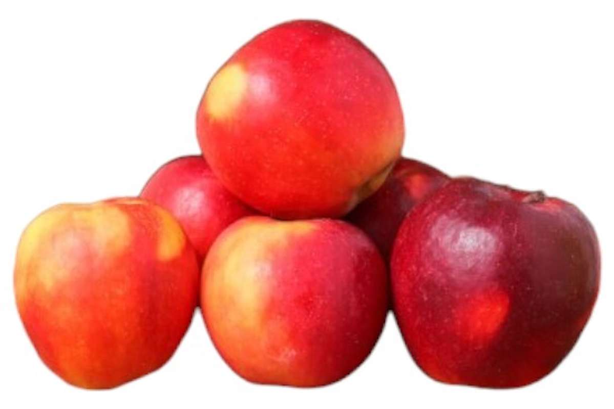 Lot de 6 pommes bicolore Crimson Crisp BIO du Sud-Ouest (calibre moyen), France