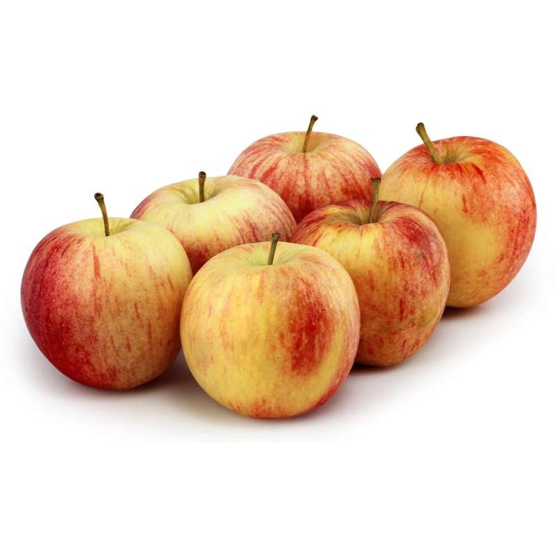 Lot de 6 pommes Gala "nouvelle" du Loir-et-Cher (calibre moyen), France