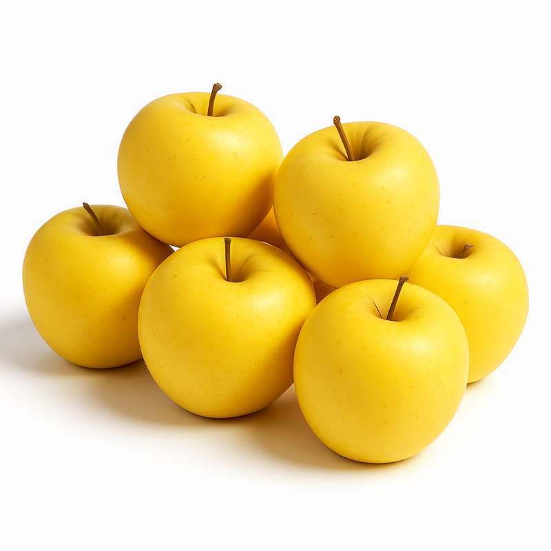 Lot de 6 pommes jaune Gradictive BIO du Sud-Ouest - Direct producteur (calibre moyen), France