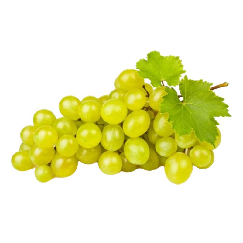 Raisin blanc sans pépin (barquette de 500 g), Inde