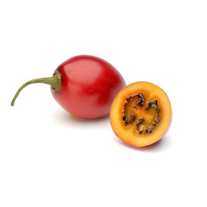 Tamarillo où Tomate de arbol (calibre moyen), Colombie