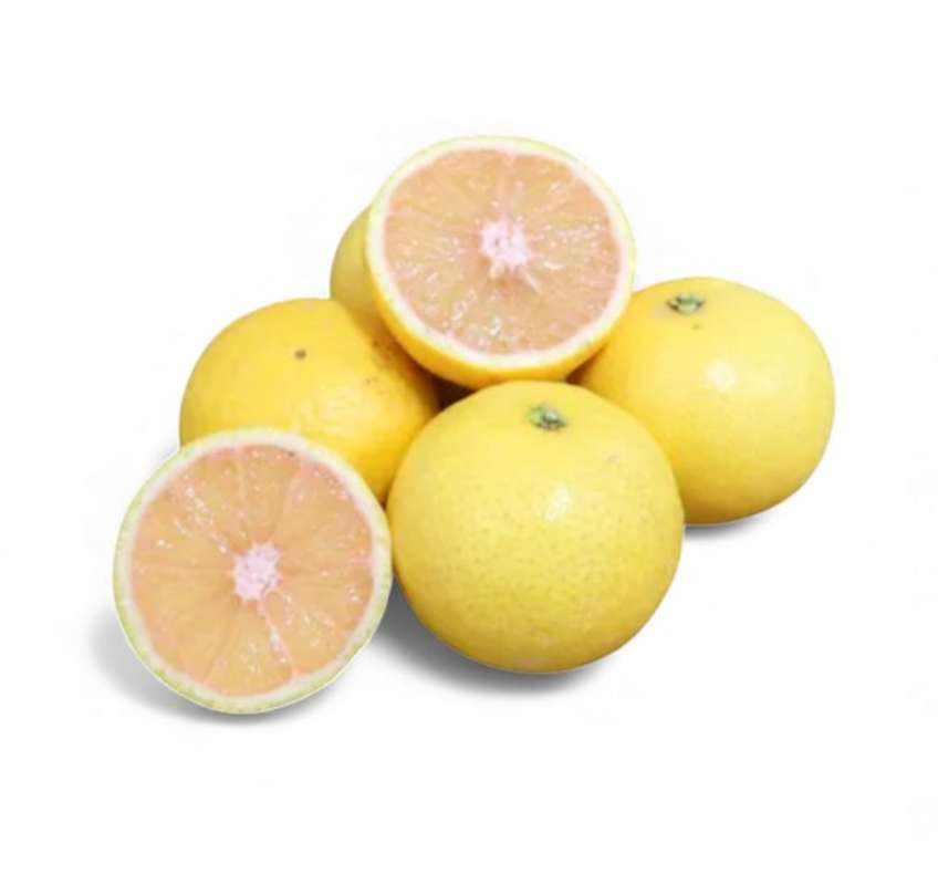 Lot de 3 tangelos "wekiwa" BIO : entre pamplemousse et mandarine, Maroc