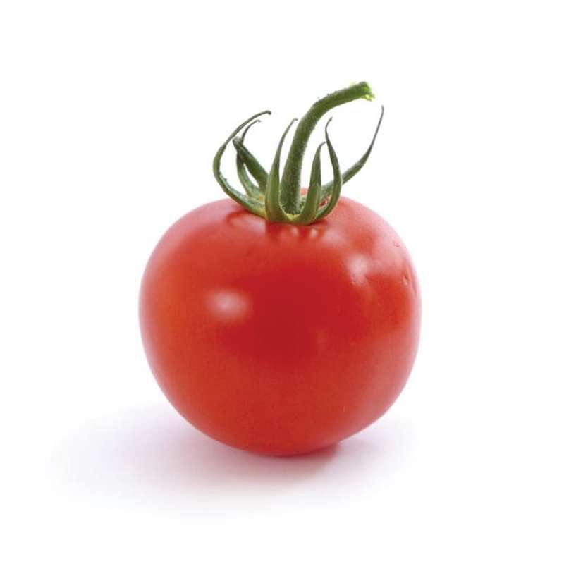 Tomate ronde Extra "Jardin de Rabelais" (calibre moyen), France