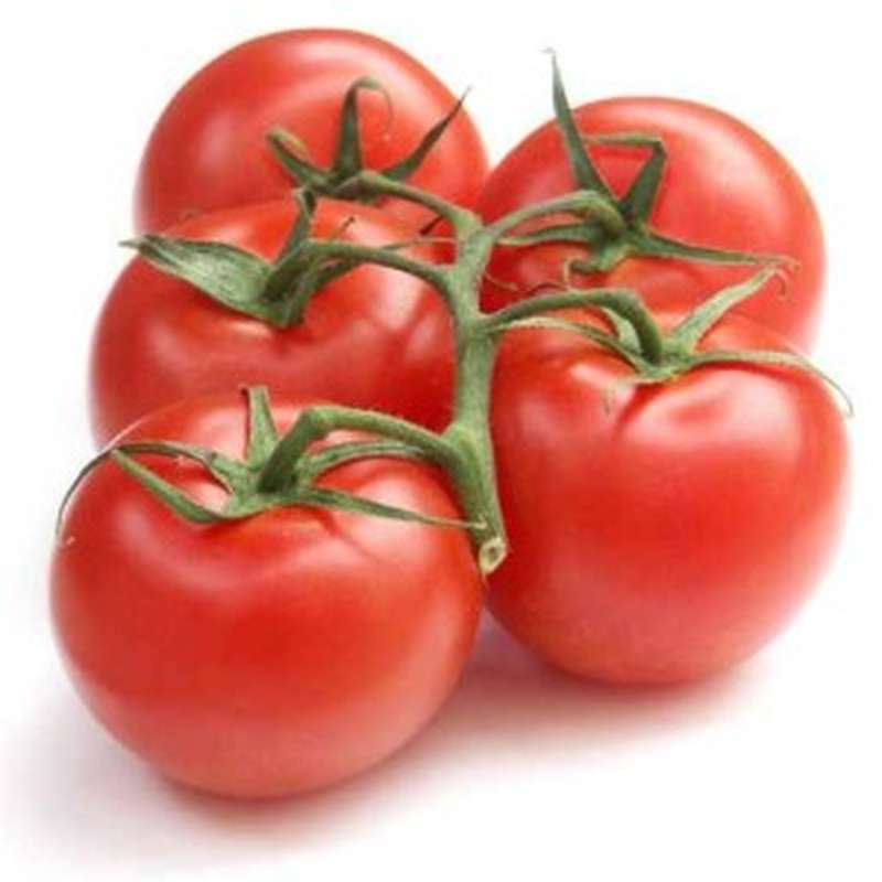 Tomates grappe BIO du Finistère Nord - Direct producteur, France
