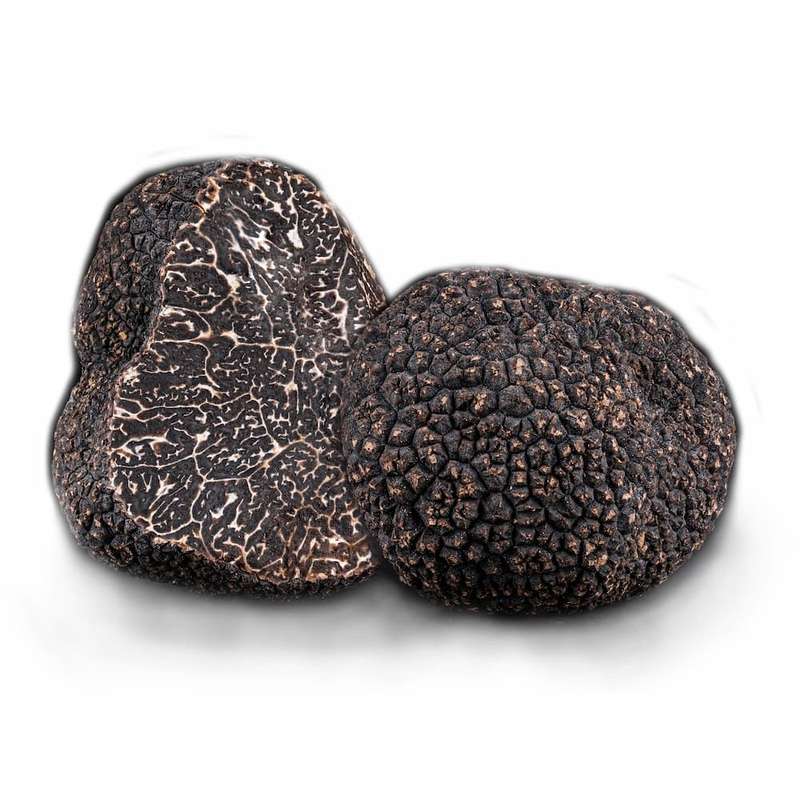 Truffe noire fraiche (pièce de 6 g), France