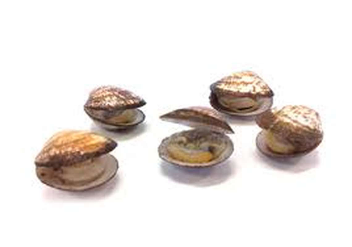 Amandes de mer (330 g) | Bam courses : Courses en Ligne moins chères qu