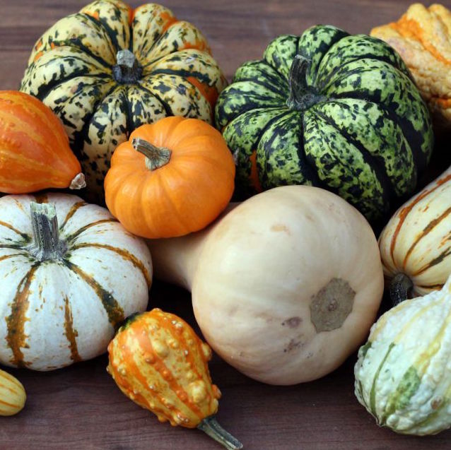 Pack de courges BIO (5 variétés) | La belle vie : Vos courses livrées en 1h