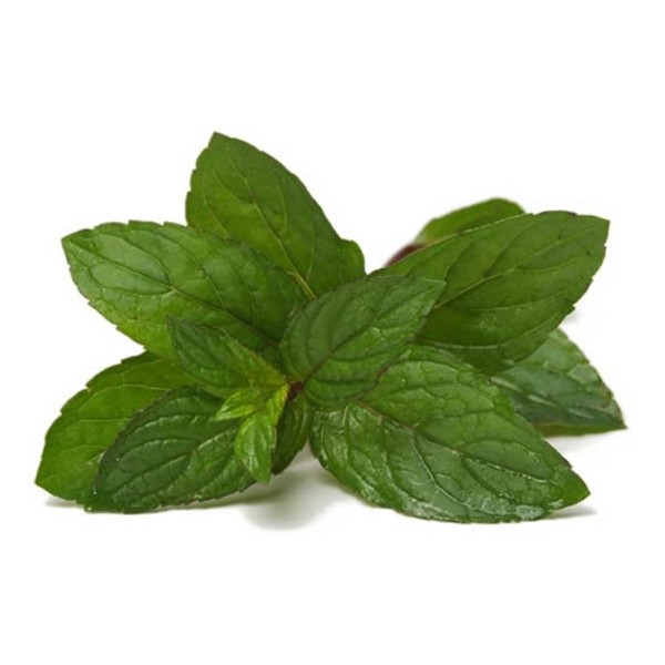 bien fait de la menthe poivrée bien fait de la menthe poivrée