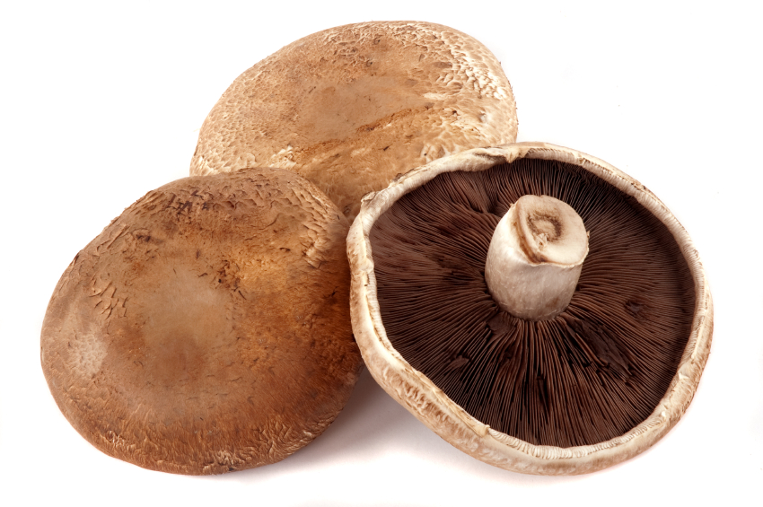 Champignon Portobello BIO, Paysbas La belle vie Changez votre